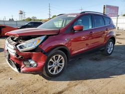 Salvage cars for sale at Chicago Heights, IL auction: 2017 Ford Escape SE