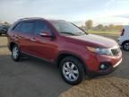 2011 KIA Sorento Base