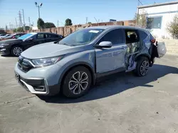 Salvage cars for sale at Wilmington, CA auction: 2021 Honda CR-V EX