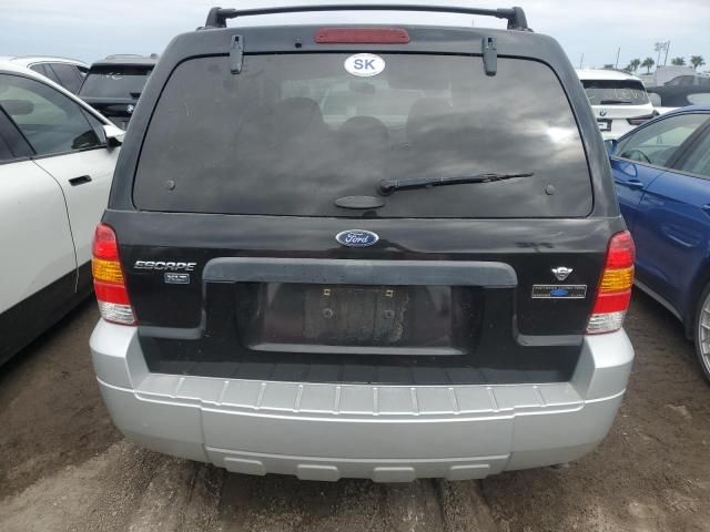 2007 Ford Escape XLT