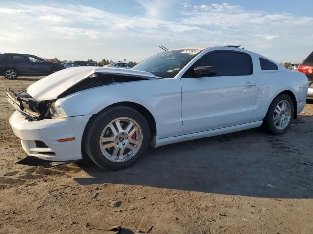 2014 Ford Mustang