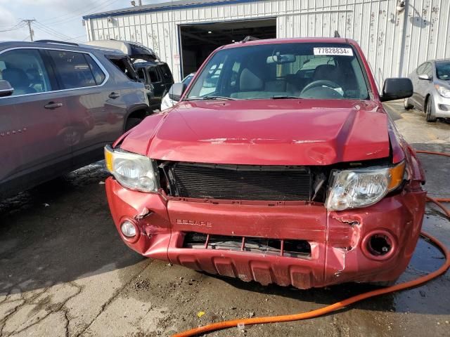 2011 Ford Escape XLT