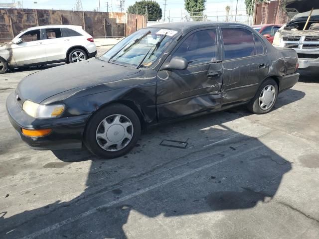 1997 Toyota Corolla DX