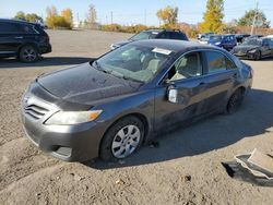 Toyota salvage cars for sale: 2010 Toyota Camry Base