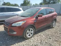 Flood-damaged cars for sale at auction: 2015 Ford Escape SE