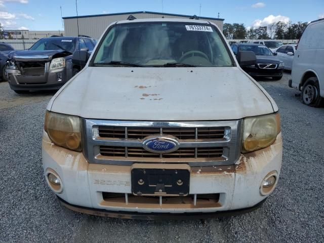 2011 Ford Escape XLT