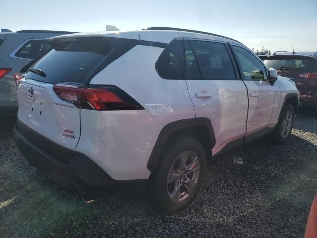 2023 Toyota Rav4 XLE