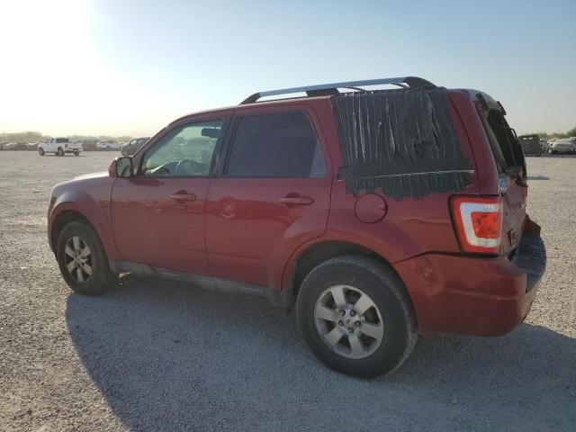 2011 Ford Escape Limited