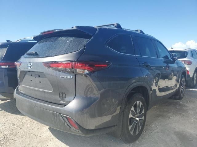 2024 Toyota Highlander Hybrid XLE