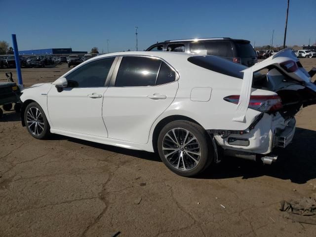 2019 Toyota Camry Hybrid