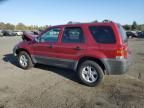 2005 Ford Escape XLT