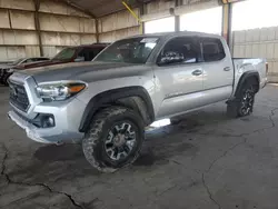 Salvage cars for sale at Phoenix, AZ auction: 2019 Toyota Tacoma Double Cab