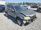 2006 Ford Escape XLT