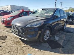 Carros salvage a la venta en subasta: 2020 Ford Escape SE