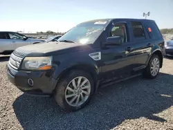 2013 Land Rover LR2 HSE en venta en Midway, FL