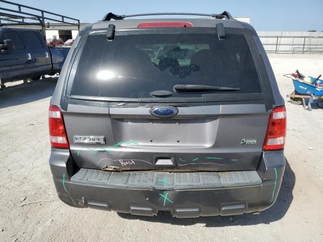 2011 Ford Escape XLT