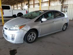 Salvage cars for sale at Phoenix, AZ auction: 2010 Toyota Prius