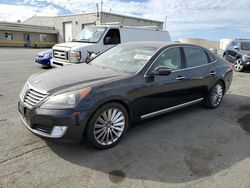 Hyundai salvage cars for sale: 2014 Hyundai Equus Signature