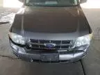 2010 Ford Escape XLS