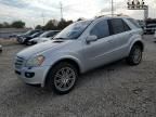 2006 Mercedes-Benz ML 500