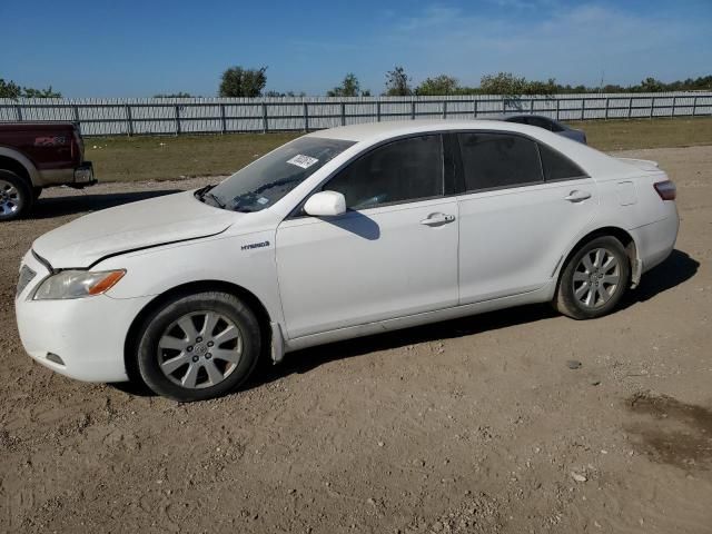 2007 Toyota Camry Hybrid