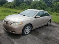 Carros dañados por inundaciones a la venta en subasta: 2009 Toyota Camry Base