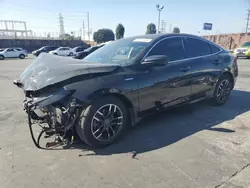 Salvage cars for sale from Copart Wilmington, CA: 2019 Honda Insight EX