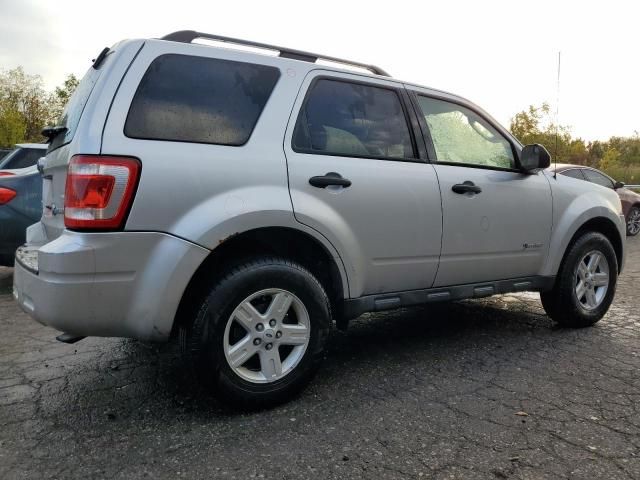 2010 Ford Escape Hybrid