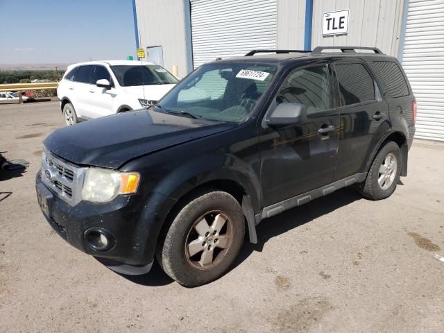 2010 Ford Escape XLT