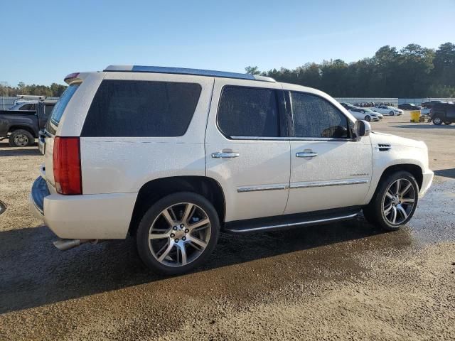 2011 Cadillac Escalade Luxury