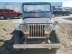 1955 Jeep Willy