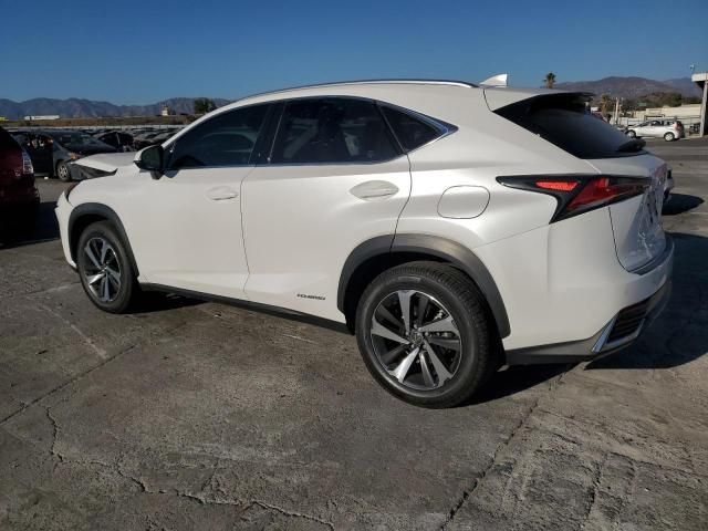 2019 Lexus NX 300H