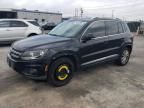 2015 Volkswagen Tiguan S