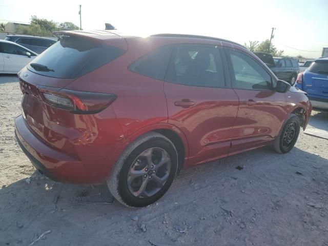 2024 Ford Escape ST Line