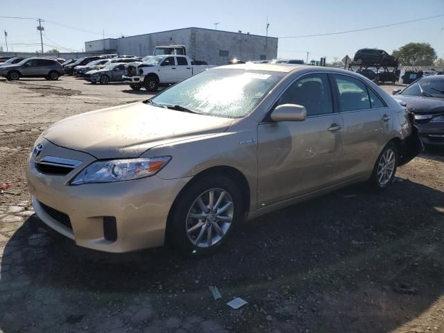 2010 Toyota Camry Hybrid