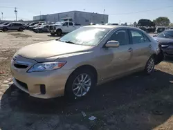 Salvage cars for sale at Chicago Heights, IL auction: 2010 Toyota Camry Hybrid