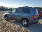 2006 Toyota Highlander Hybrid