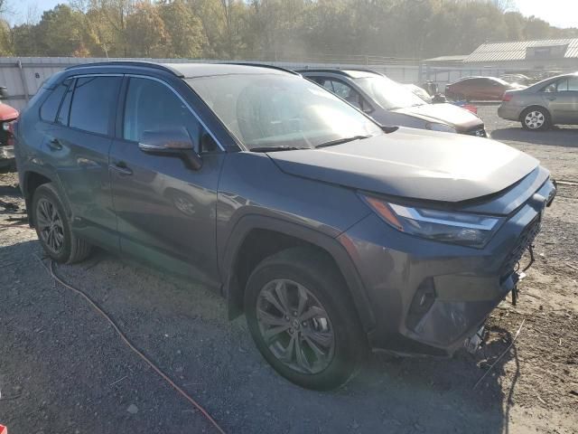 2024 Toyota Rav4 XLE Premium