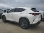 2024 Lexus NX 350H Base