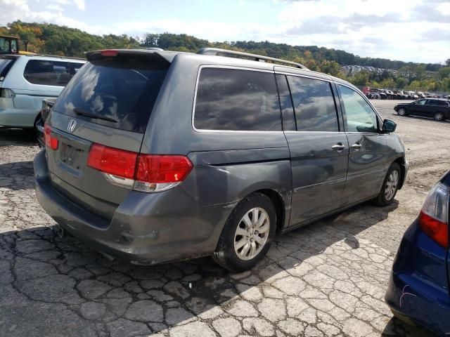 2008 Honda Odyssey EXL