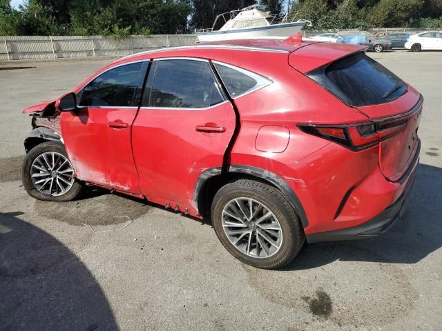 2024 Lexus NX 350H Base