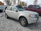 2008 Ford Escape Limited