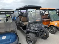 2024 Golf Cart en venta en Riverview, FL