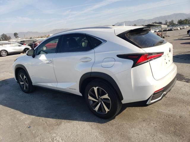 2021 Lexus NX 300H Base