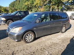 Honda salvage cars for sale: 2010 Honda Odyssey EXL