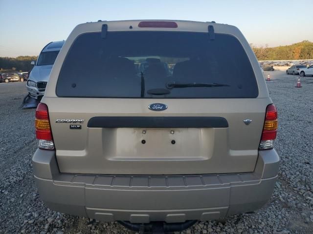 2007 Ford Escape XLT