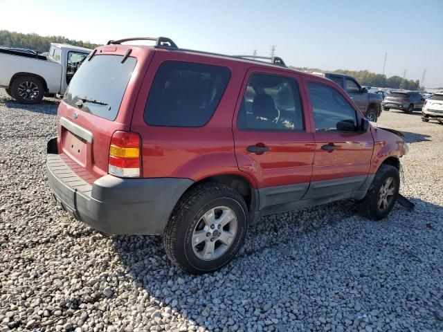 2005 Ford Escape XLT