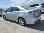 2010 Lexus HS 250H