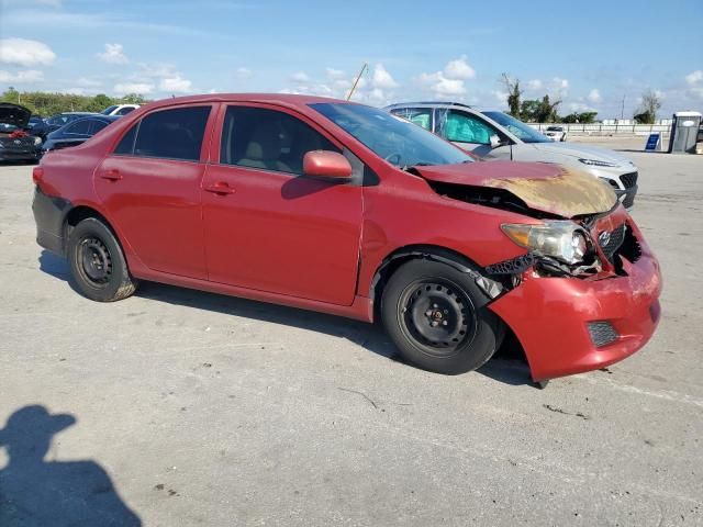 2010 Toyota Corolla Base