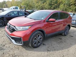 Honda salvage cars for sale: 2021 Honda CR-V EX